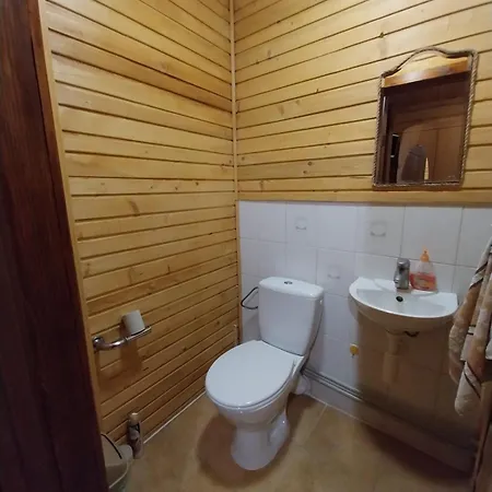 верховинська хата Guest house