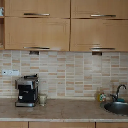 ゲストハウス верховинська хата イズキ