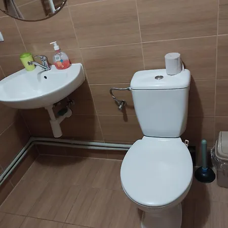 верховинська хата *